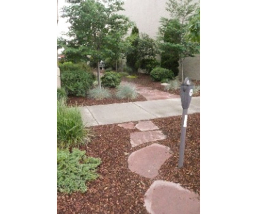 colorado-springs-utilities-xeriscaping-easy-care-parkway